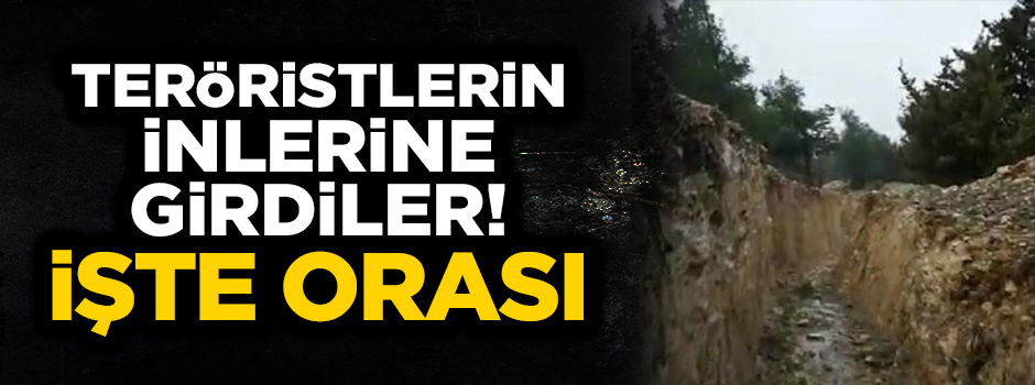 Mehmetçik inlerine girdi, terörist mevzileri tek tek imha edildi