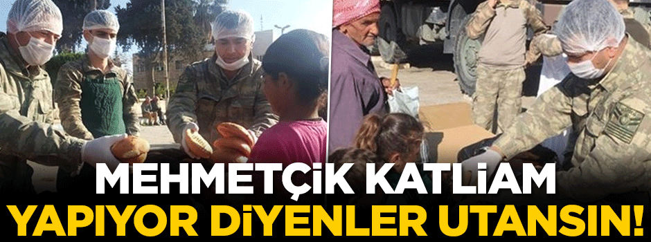 Mehmetçik katliam yapıyor diyenler utansın!