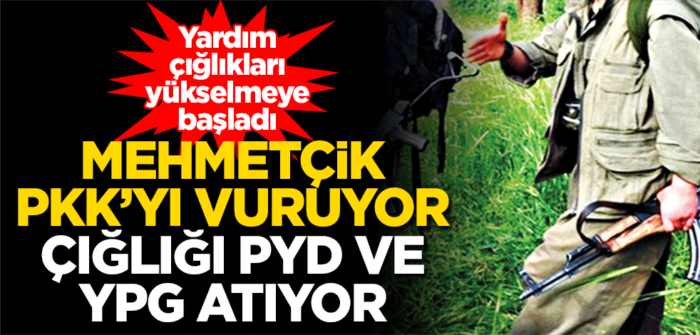 Mehmetçik PKK’yı vuruyor, çığlığı PYD ve YPG atıyor
