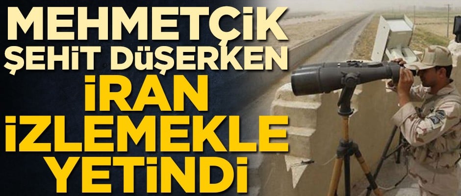 Mehmetçik şehit düşerken İran izlemekle yetindi