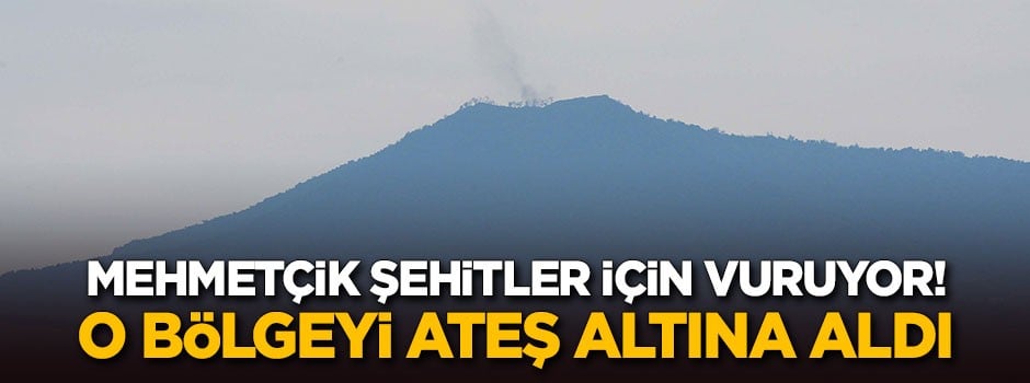Mehmetçik şehitler için o bölgeyi ateş altına aldı