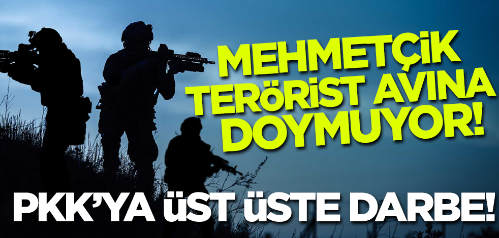 Mehmetçik terörist avına doymuyor! PKK'ya bir darbe daha