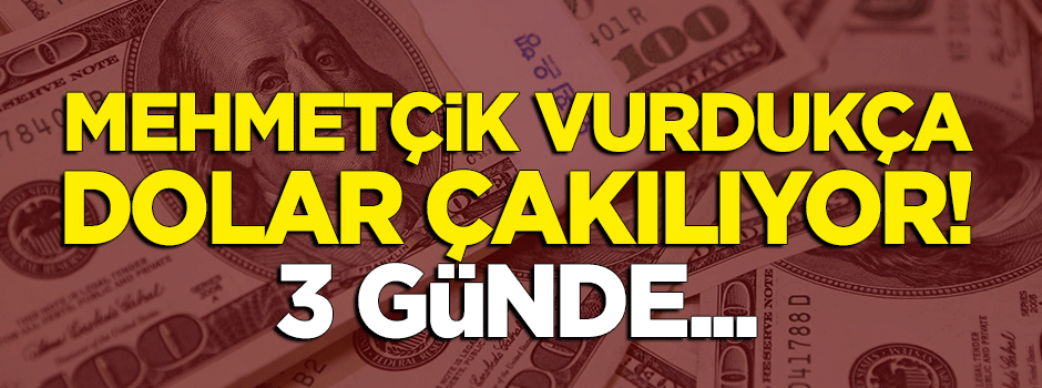 Mehmetçik vurdukça dolar çakılıyor! 3 günde...