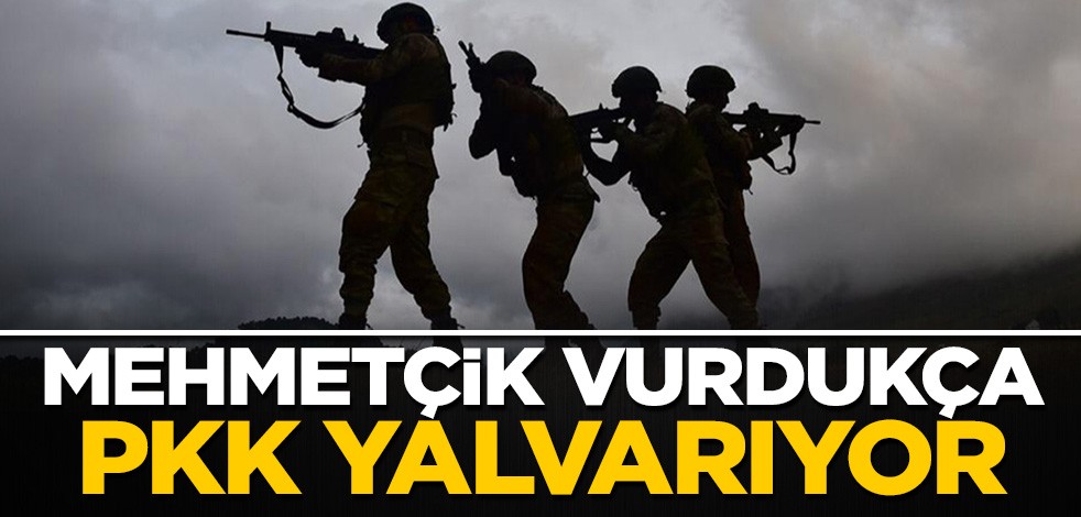 Mehmetçik vurdukça, PKK Avrupa’ya yalvarmaya başladı