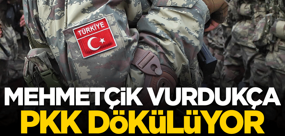 Mehmetçik vurdukça PKK dökülüyor