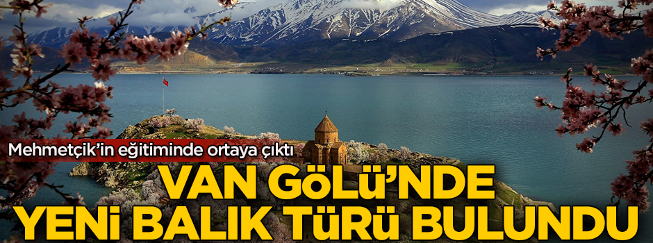 Mehmetçik'in eğitimi sırasında Van Gölü'nde yaşayan yeni balık türü bulundu