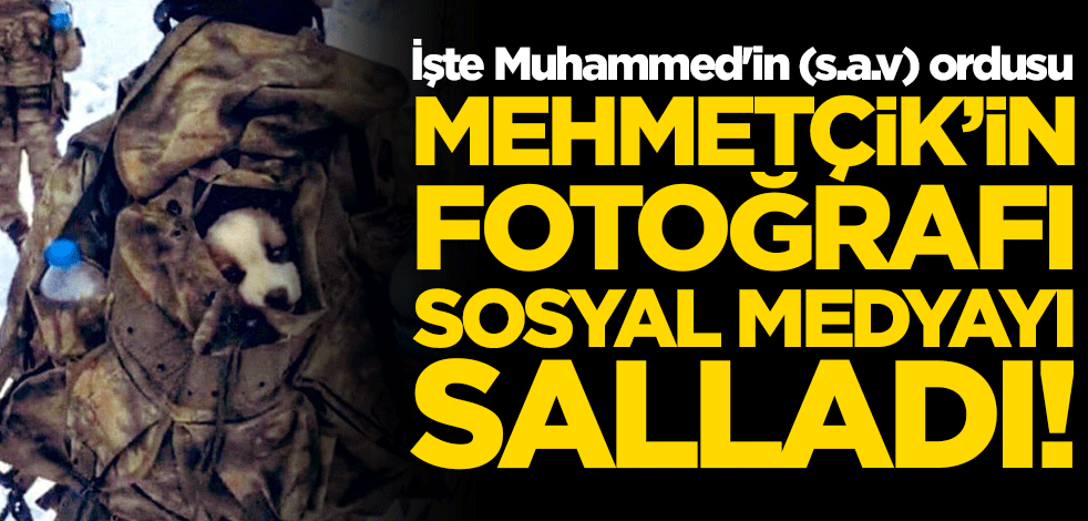 Mehmetçik'in fotoğrafı sosyal medyayı salladı! İşte Muhammed'in (s.a.v) ordusu
