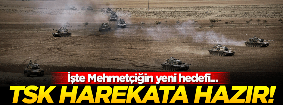 Mehmetçik'in yeni hedefi Sincar!