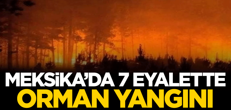 Meksika’da 7 eyalette orman yangını
