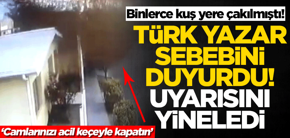 Meksika'da binlerce kuş bakın neden yere çakılmış! Mustafa Kurnaz şok eden detayı duyurdu: Camlarınızı keçe ile kapatın