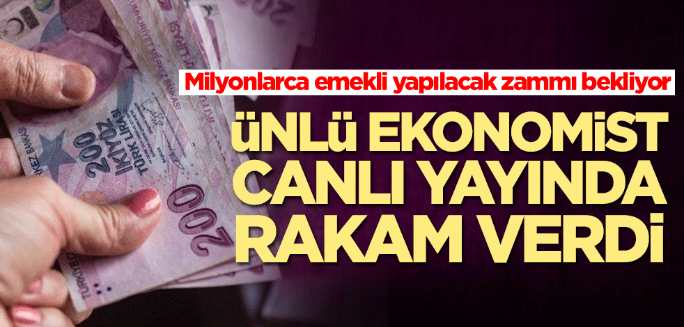 Memur ve emeklilere ne kadar zam yapılacak? Uzman isim canlı yayında rakam verdi