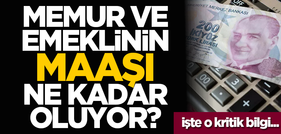 Memur ve emeklinin maaşı ne kadar oluyor! İşte o kritik bilgi...