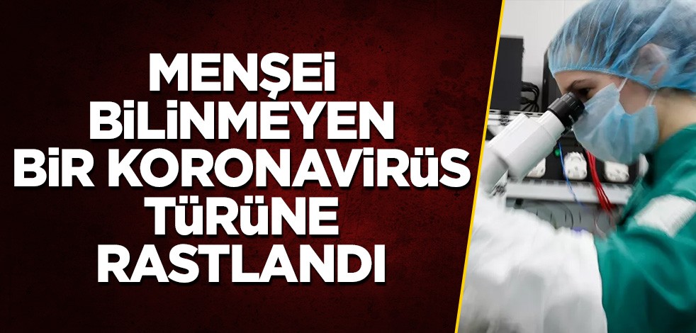 Menşei bilinmeyen bir koronavirüs türüne rastlandı