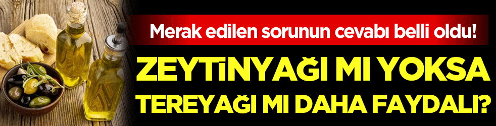 Merak edilen sorunun cevabı belli oldu: Zeytinyağı mı yoksa tereyağı mı daha faydalı?