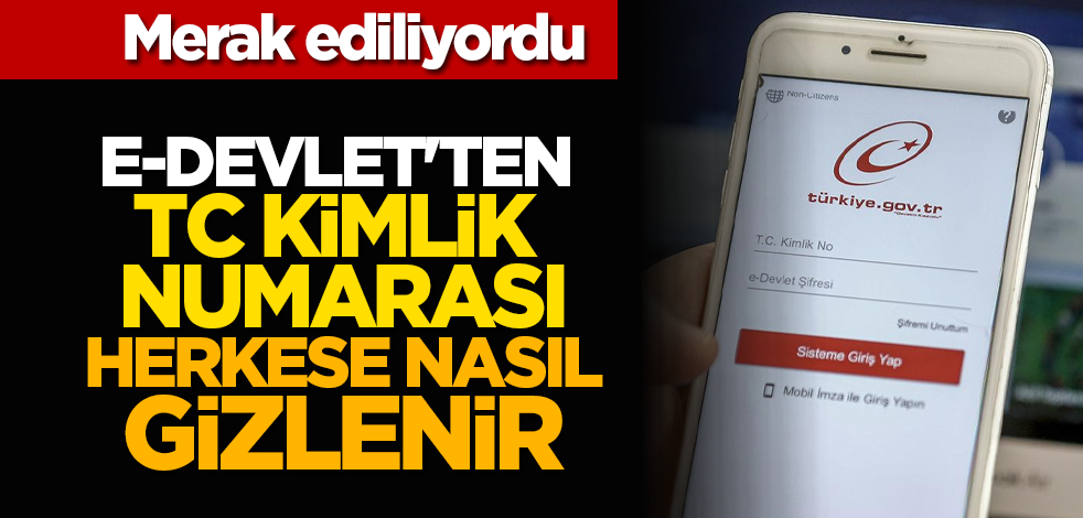 Merak ediliyordu: E-devlet'ten TC kimlik numarası herkese nasıl gizlenir
