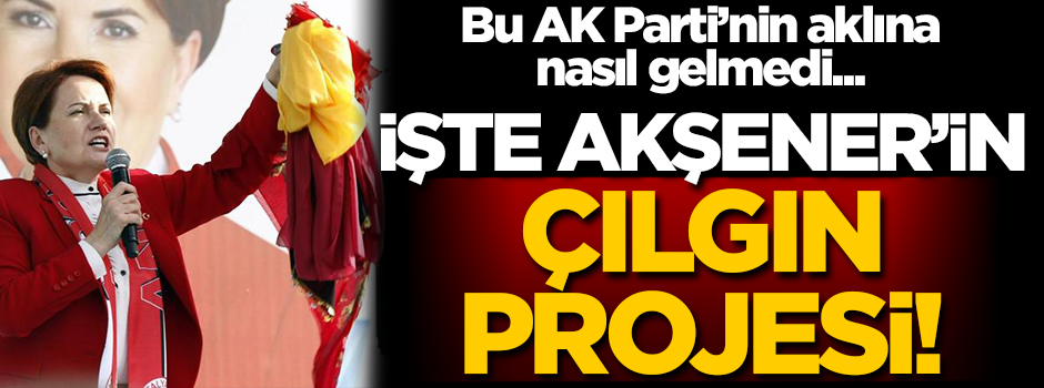 Meral Akşener ‘çılgın projesini’ açıkladı! Daha önce düşünülmemişti…