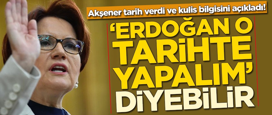 Meral Akşener: 'Erdoğan o tarihte yapalım' diyebilir