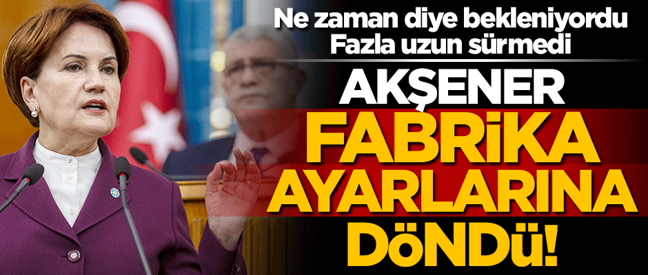 Meral Akşener fabrika ayarlarına döndü! Barış Pınarı Harekatı'nı eleştirdi