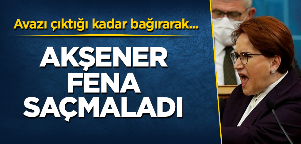 Meral Akşener fena saçmaladı! Avazı çıktığı kadar bağırarak...