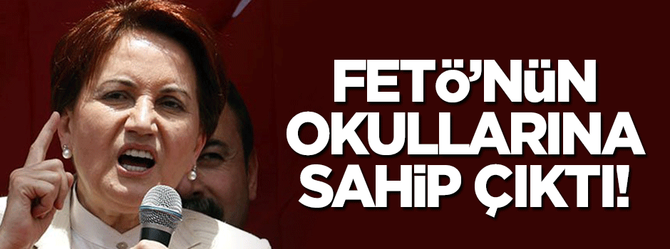 Meral Akşener, FETÖ okullarına sahip çıktı