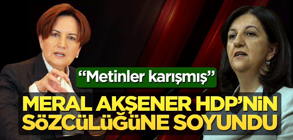 Meral Akşener HDP diliyle konuştu! İyi Parti ve HDP'den ortak dil