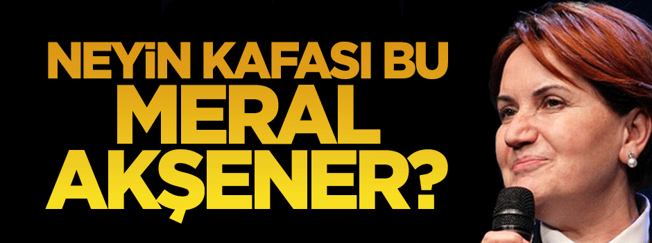 Meral Akşener, neyin kafası bu?