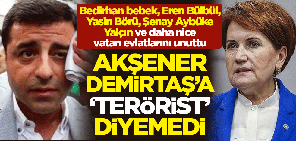 Meral Akşener, Selahattin Demirtaş'a "terörist" diyemedi