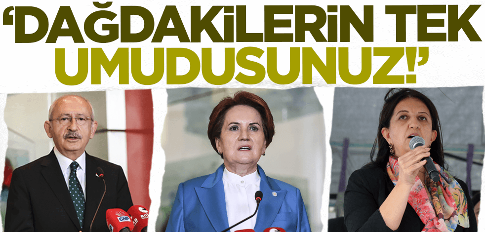 Meral Akşener ve Kılıçdaroğlu'na tepki: Dağdakilerin tek umudusunuz!