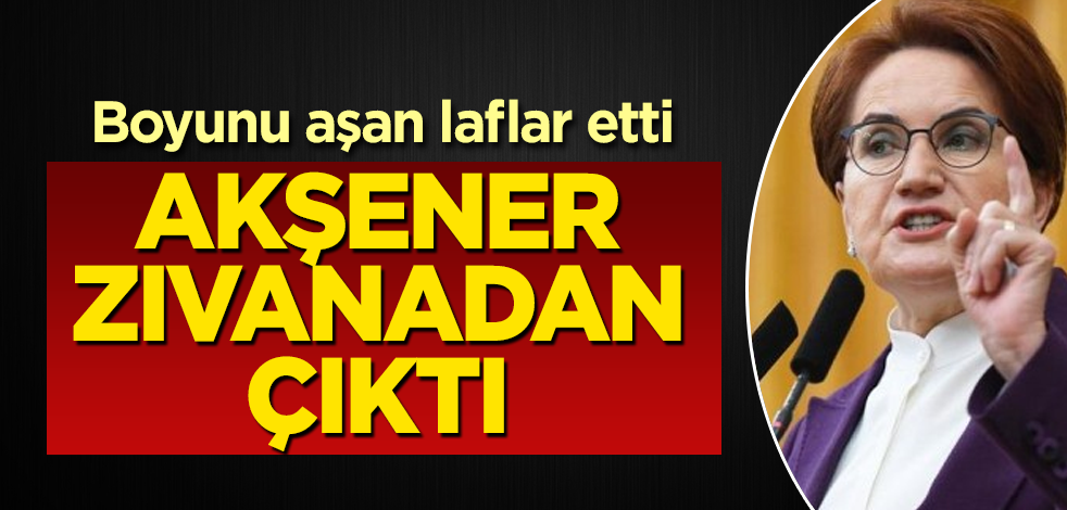 Meral Akşener zıvanadan çıktı! Hadi oradan