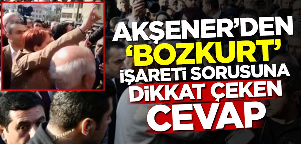 Meral Akşener'den 'Bozkurt' işareti sorusuna dikkat çeken cevap