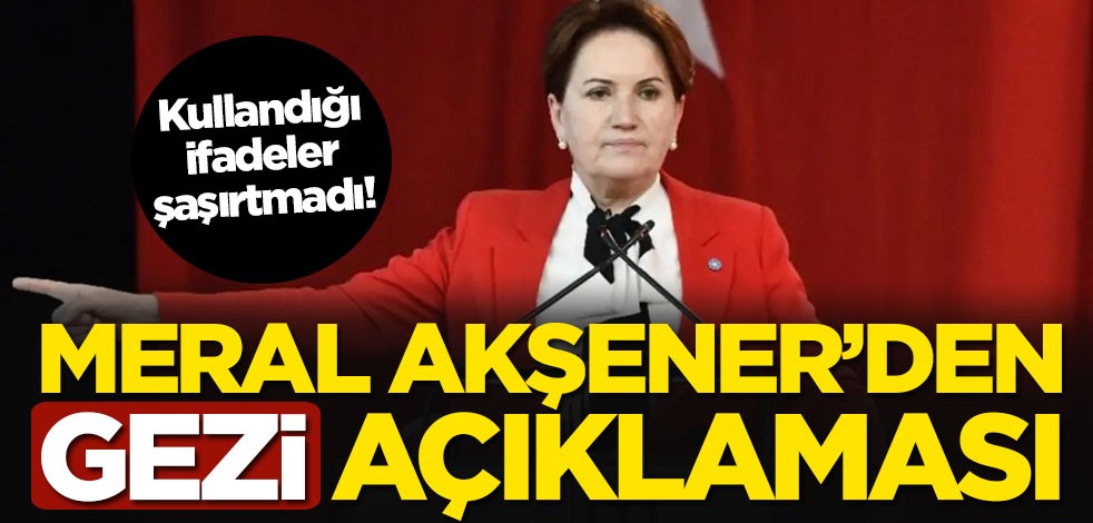 Meral Akşener'den Gezi açıklaması