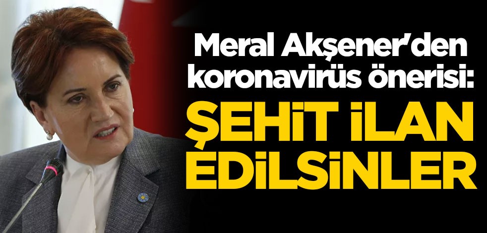 Meral Akşener'den koronavirüs önerisi: Şehit ilan edilsinler