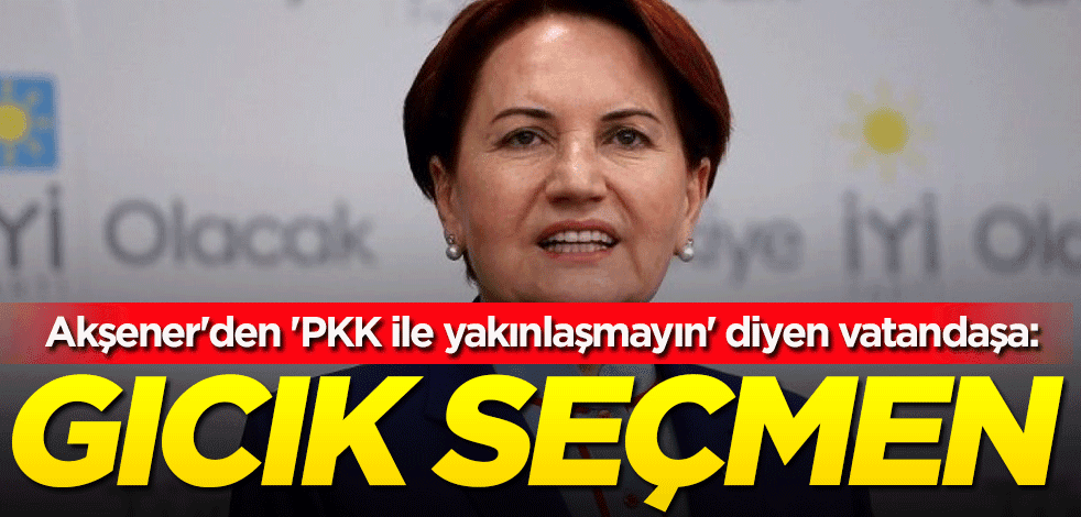 Meral Akşener'den 'PKK ile yakınlaşmayın' diyen vatandaşa: Gıcık seçmen