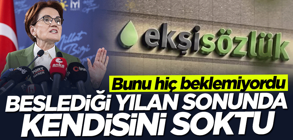 Meral Akşener'e soğuk duş! Beslediği yılan sonunda kendisini soktu