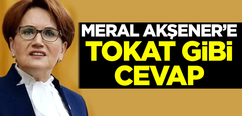 Meral Akşener'e tokat gibi cevap
