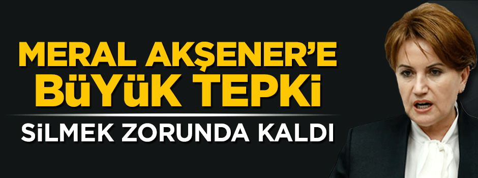 Meral Akşener'in tweetine tepki yağdı