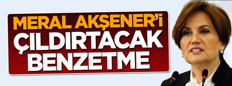 Meral Akşener'i çıldırtacak benzetme