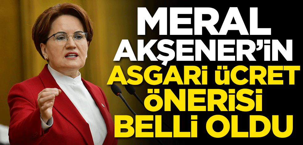 Meral Akşener'in asgari ücret önerisi belli oldu!