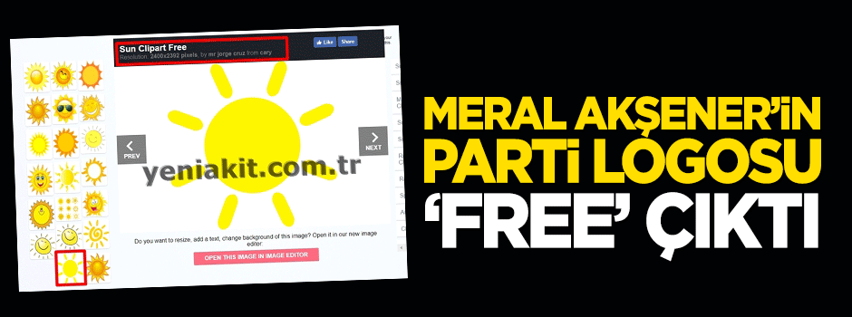 Meral Akşener'in parti logosu "free" çıktı