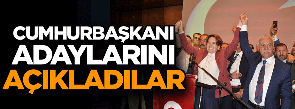 Meral Akşener’in partisi 2019 Cumhurbaşkanı adayını açıkladı…