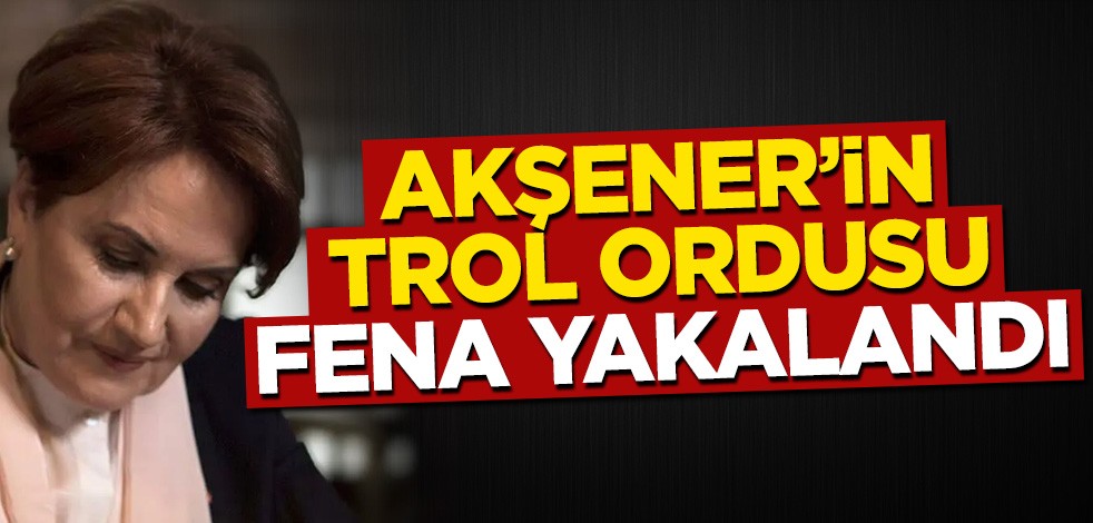 Meral Akşener'in trol ordusu fena yakalandı
