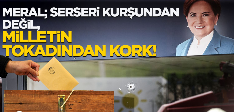 Meral; serseri kurşundan değil, milletin tokadından kork!