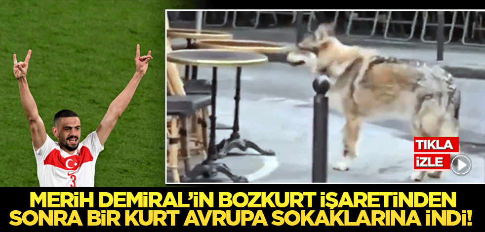 Merih Demiral’in bozkurt işaretinden sonra bir kurt Avrupa sokaklarına indi!