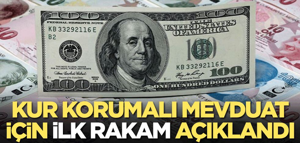 Merkez Bankası kur korumalı mevduat için ilk rakamı duyurdu