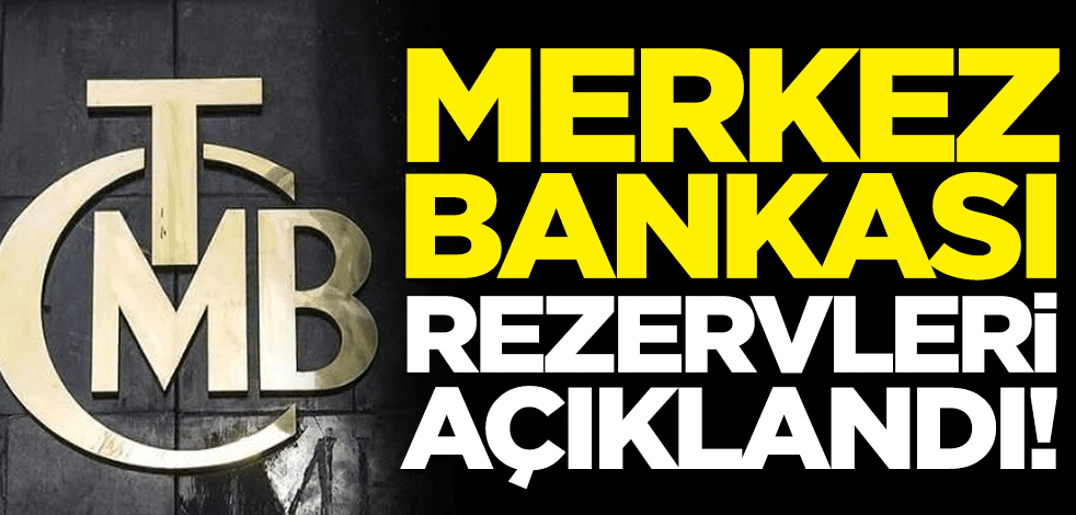 Merkez Bankası rezervleri 127 milyar 691 milyon dolara yükseldi