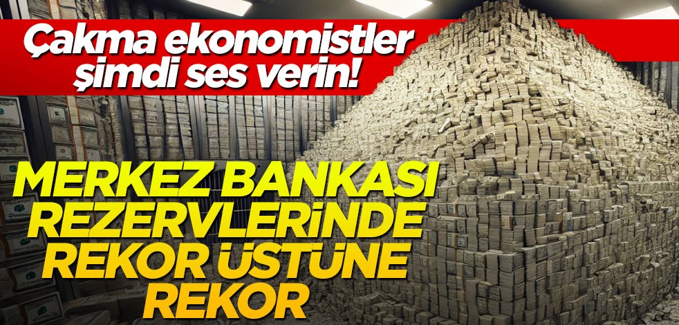 Merkez Bankası rezervlerinde rekor üstüne rekor