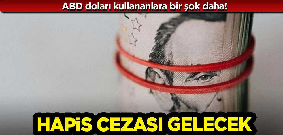 Merkez Bankası yasak kararı getirdi! ABD doları kullananlara 10 yıla kadar hapis cezası teklif edildi!