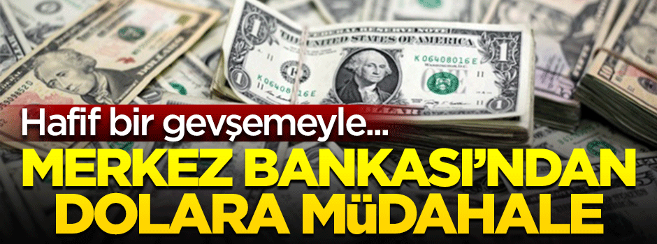 Merkez Bankası'ndan dolara bir müdahale daha