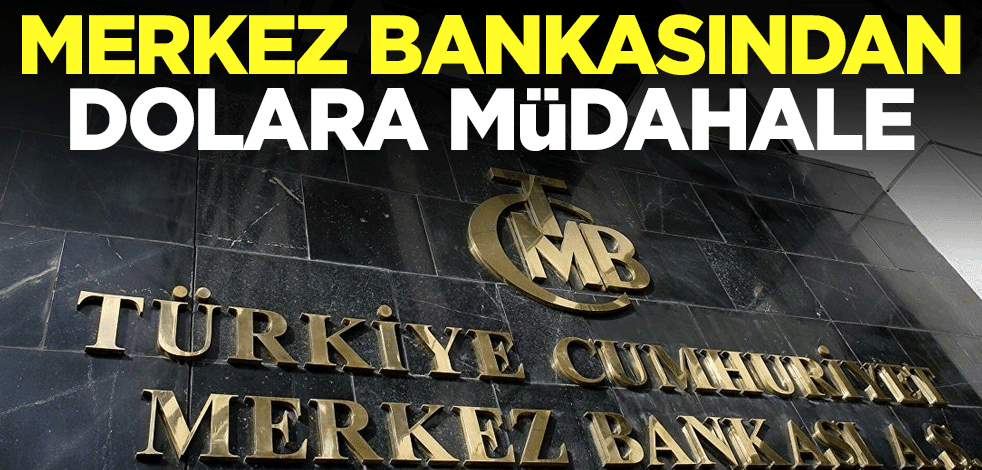 Merkez Bankasından dolara müdahale