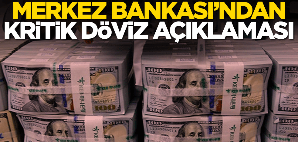 Merkez Bankası'ndan kritik döviz açıklaması